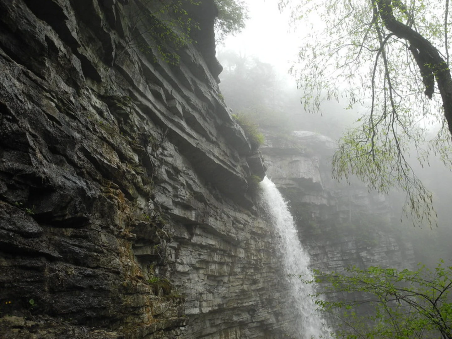 An image depicting the trail Peterskill Falls Trail and its surrounding area.