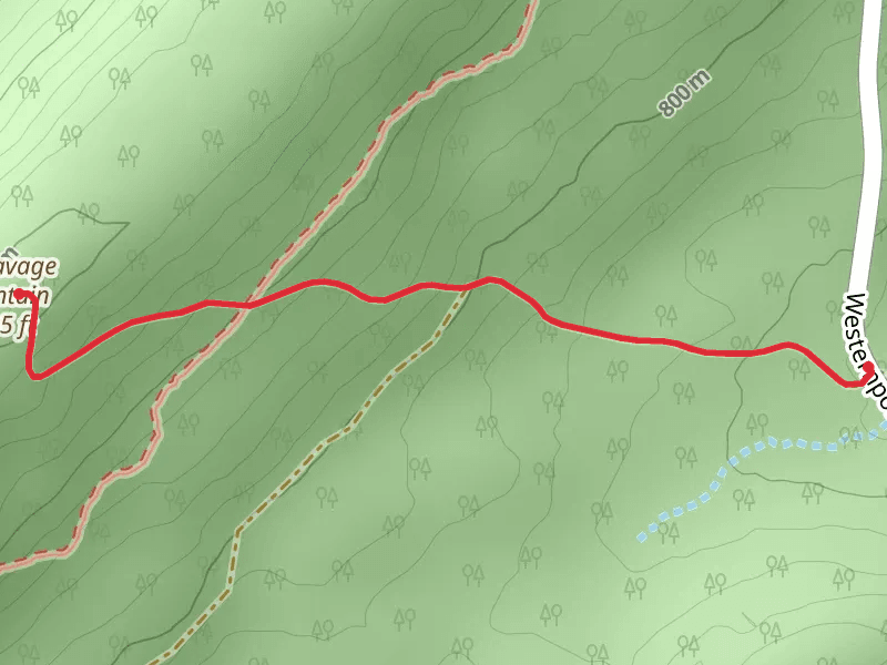 Big Savage Mountain