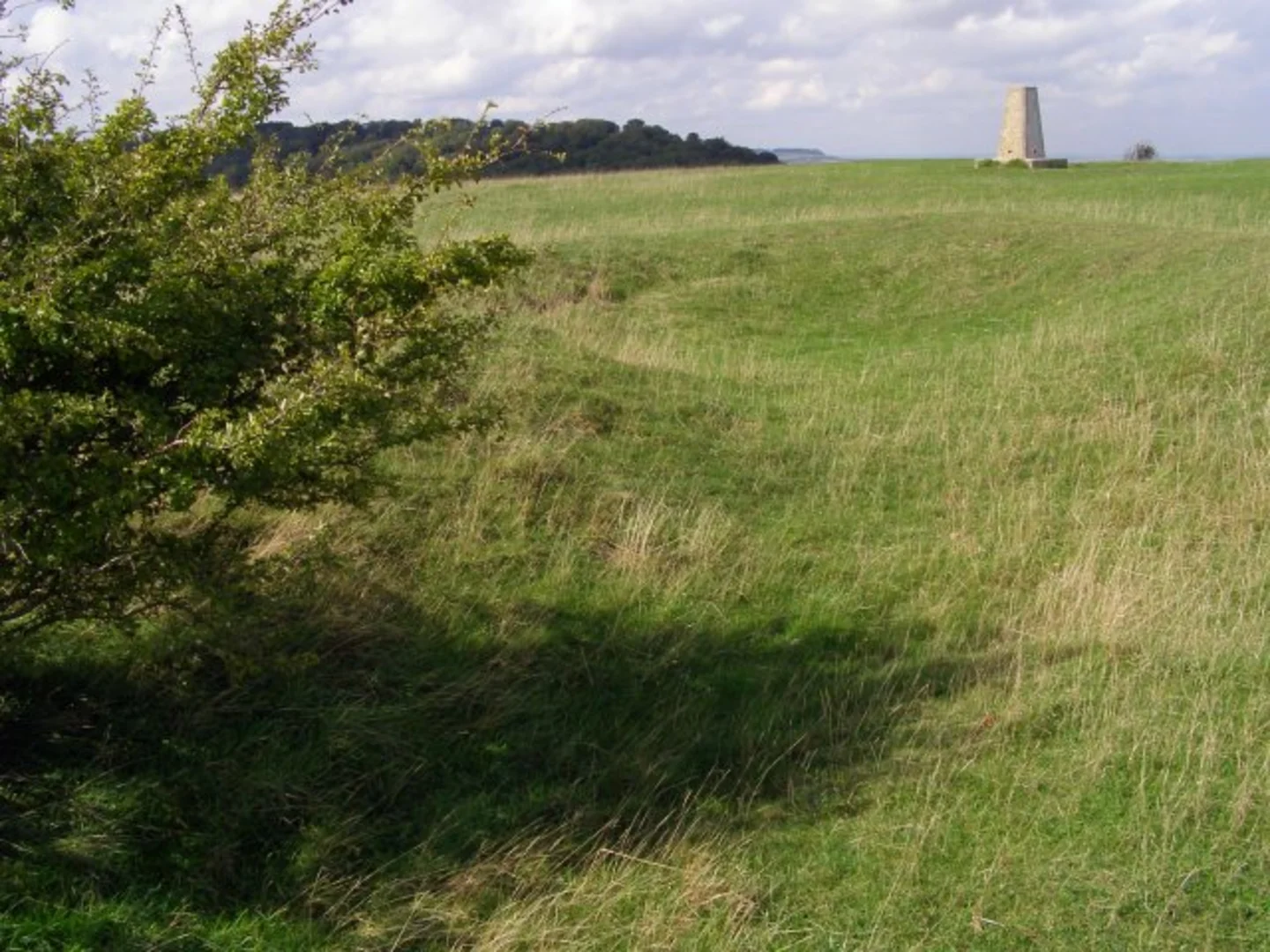 An image depicting the trail Buriton to Cocking Walk and its surrounding area.