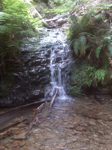 Tip Toe Falls, Iverson and Sequoia Nature Trail