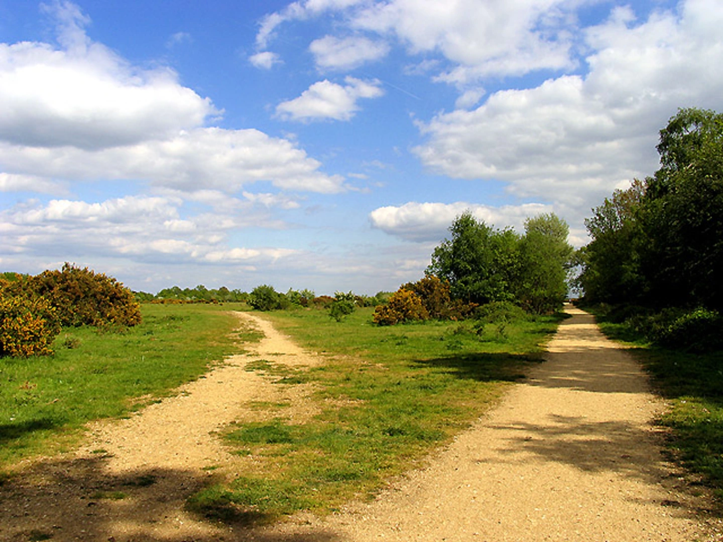 An image depicting the trail Yellow Route Loop and its surrounding area.