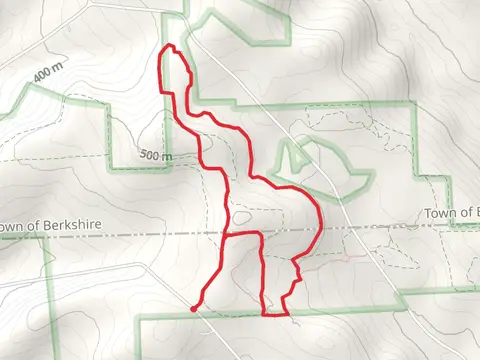 Loop Trail from Richardson Hill