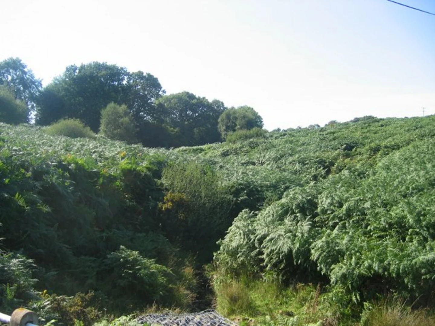 Cramer Gutter and Magpie Hill Loop | Shropshire | England