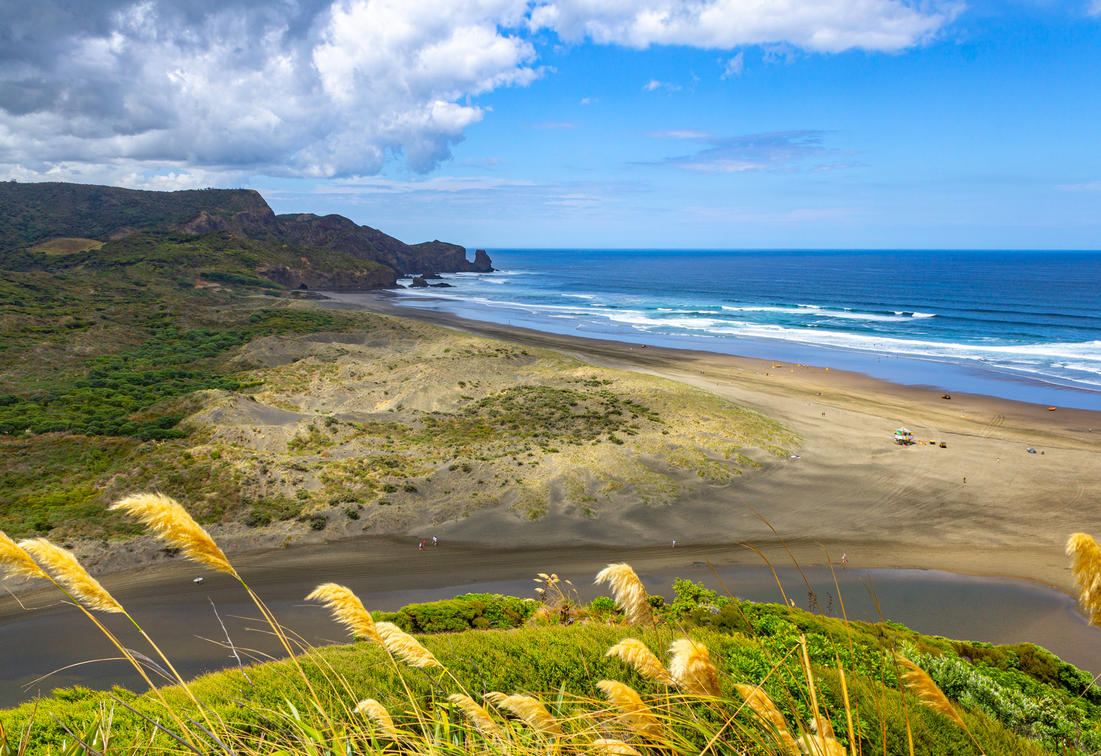 An image depicting the trail Bethells Beach Walk and its surrounding area.