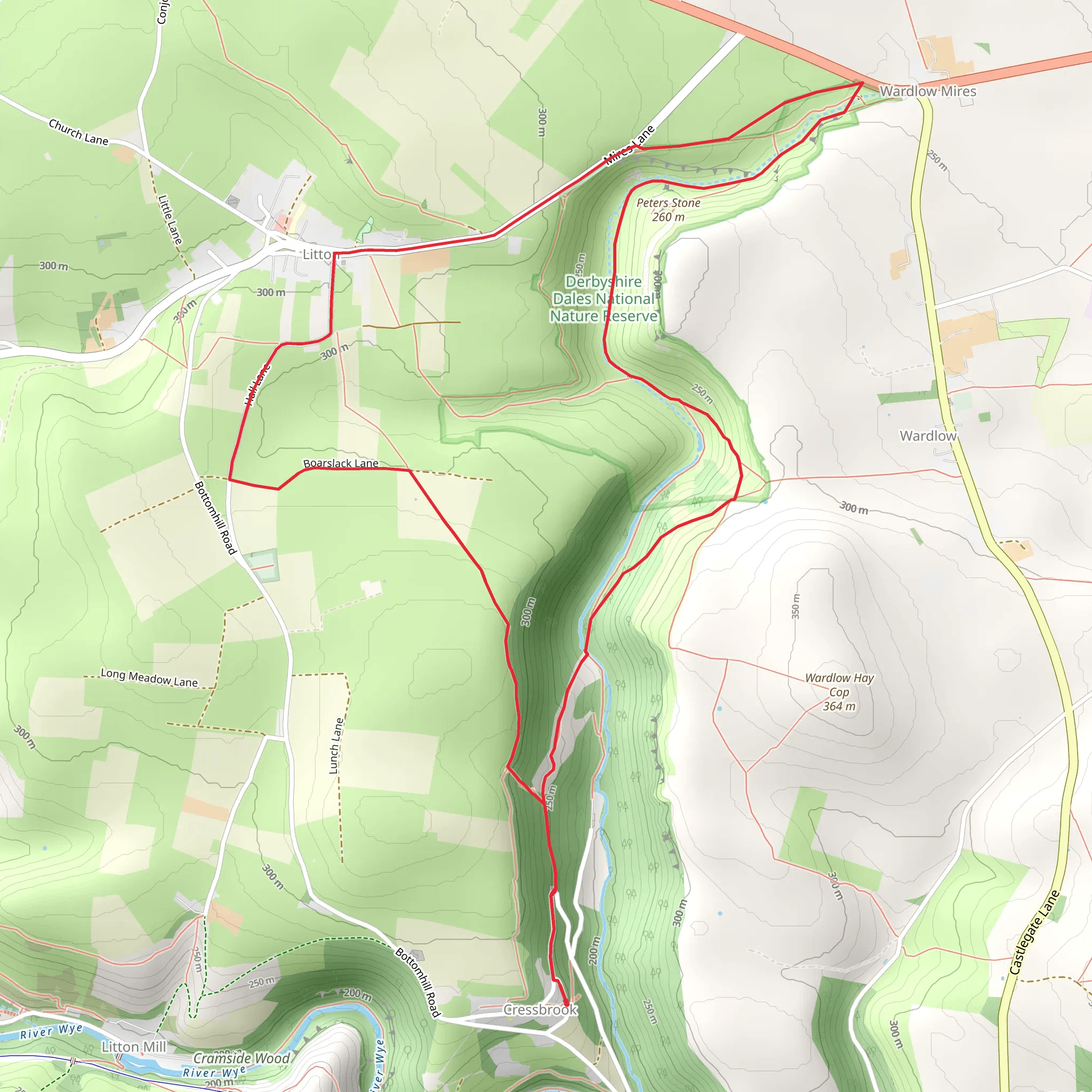 Cressbrook to Litton Loop via Derbyshrire Dales National Nature Reserve mobile static map