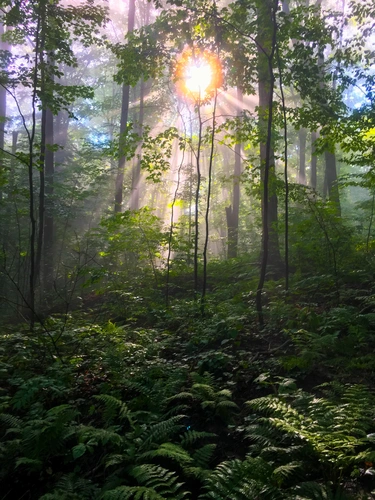 Vermont Long Trail