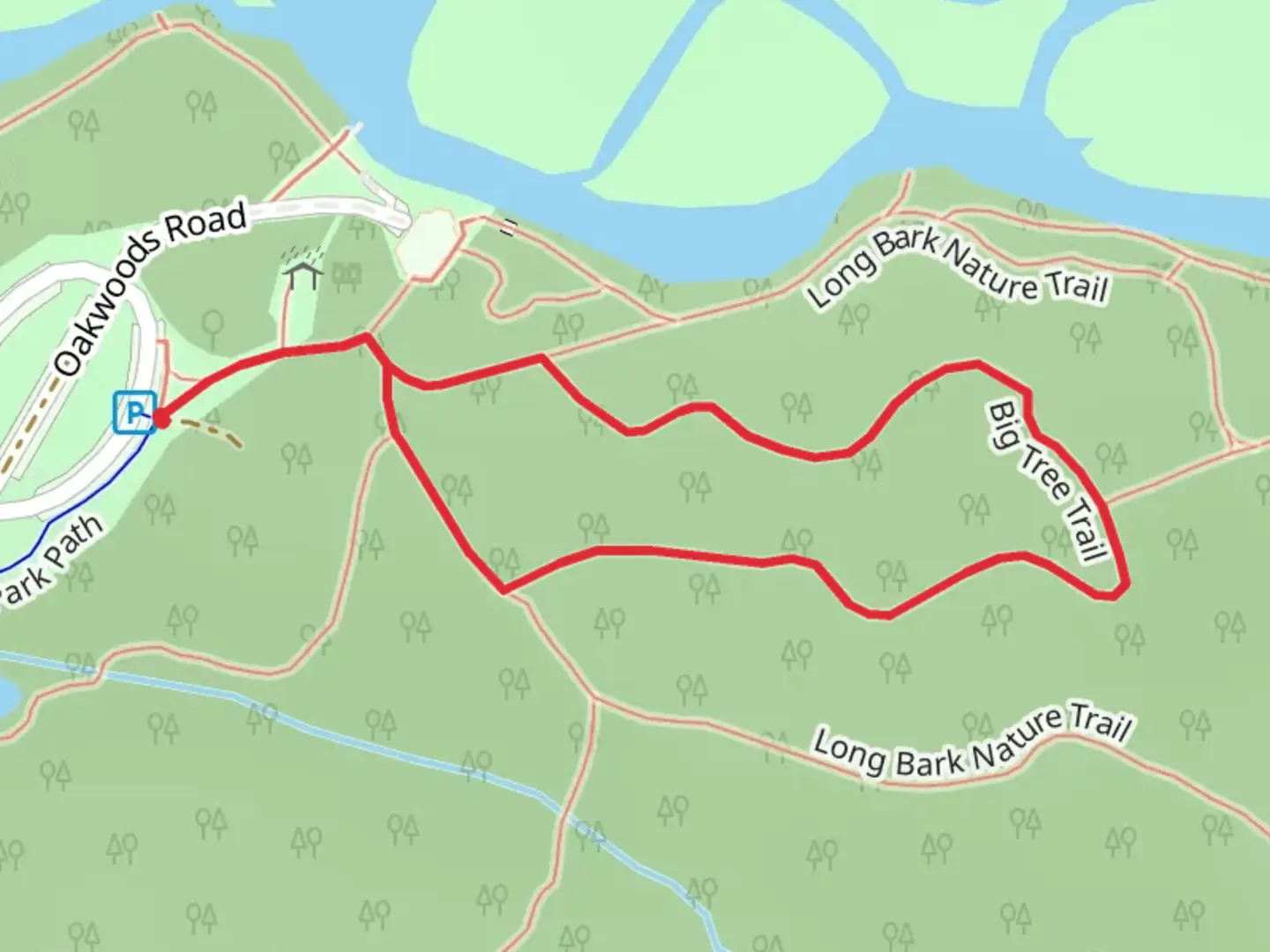 An image depicting the trail Big Tree Loop Trail and its surrounding area.