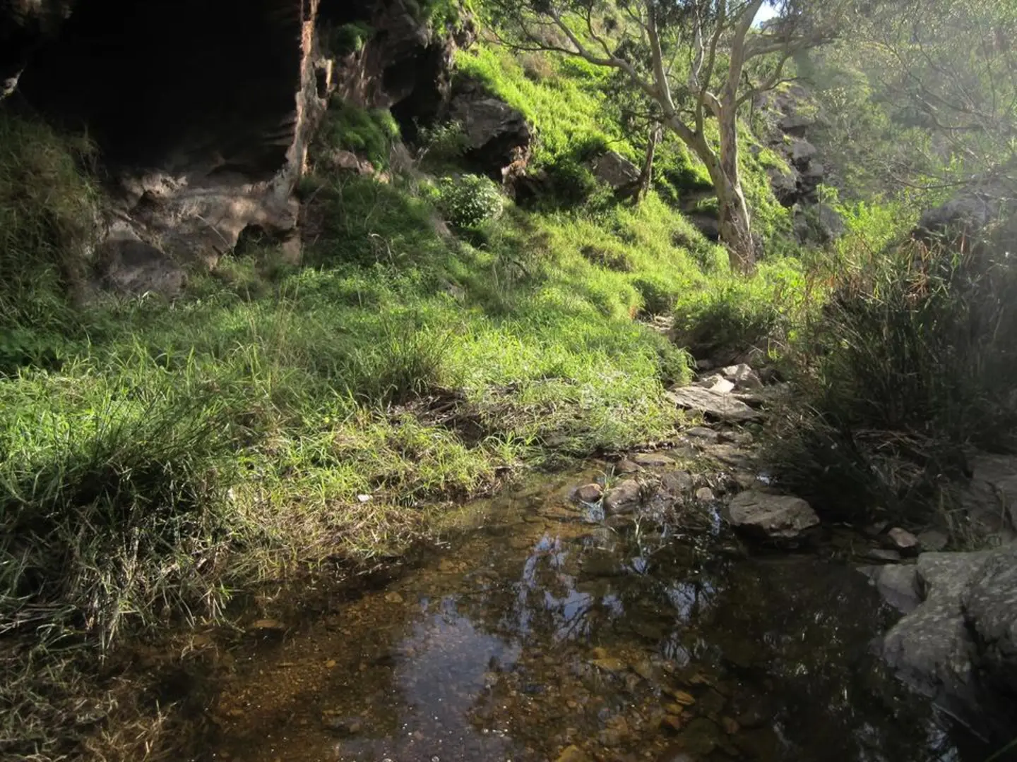 An image depicting the trail Shepherds Hill Viaduct Loop Track and its surrounding area.