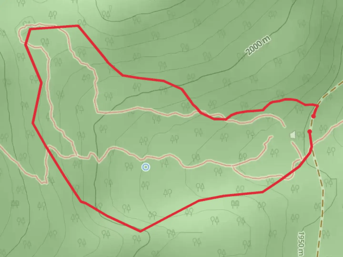 An image depicting the trail Antler Loop Trail and its surrounding area.