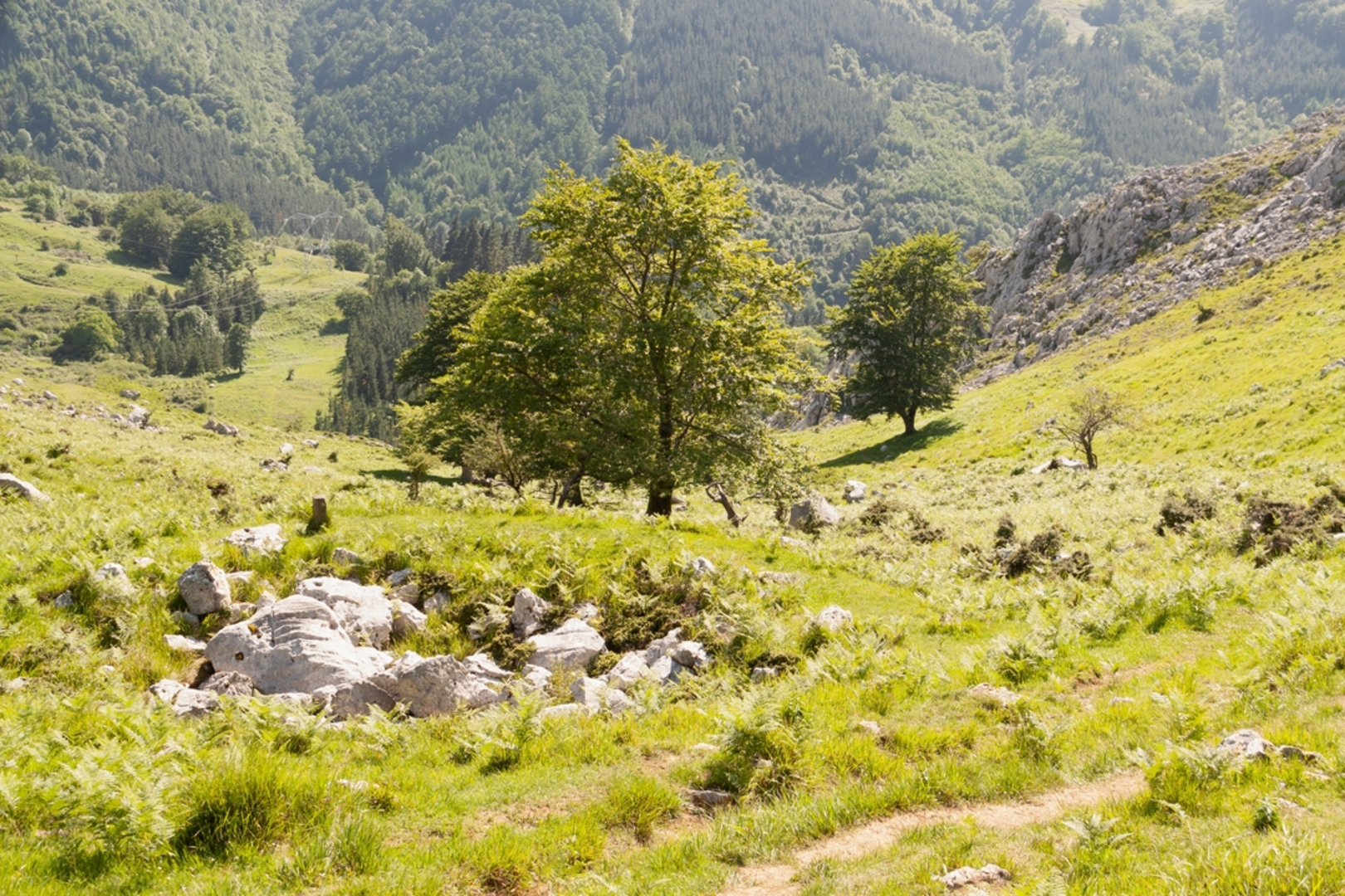An image depicting the trail Great Legarmendi Crossing PR BI 83 and its surrounding area.
