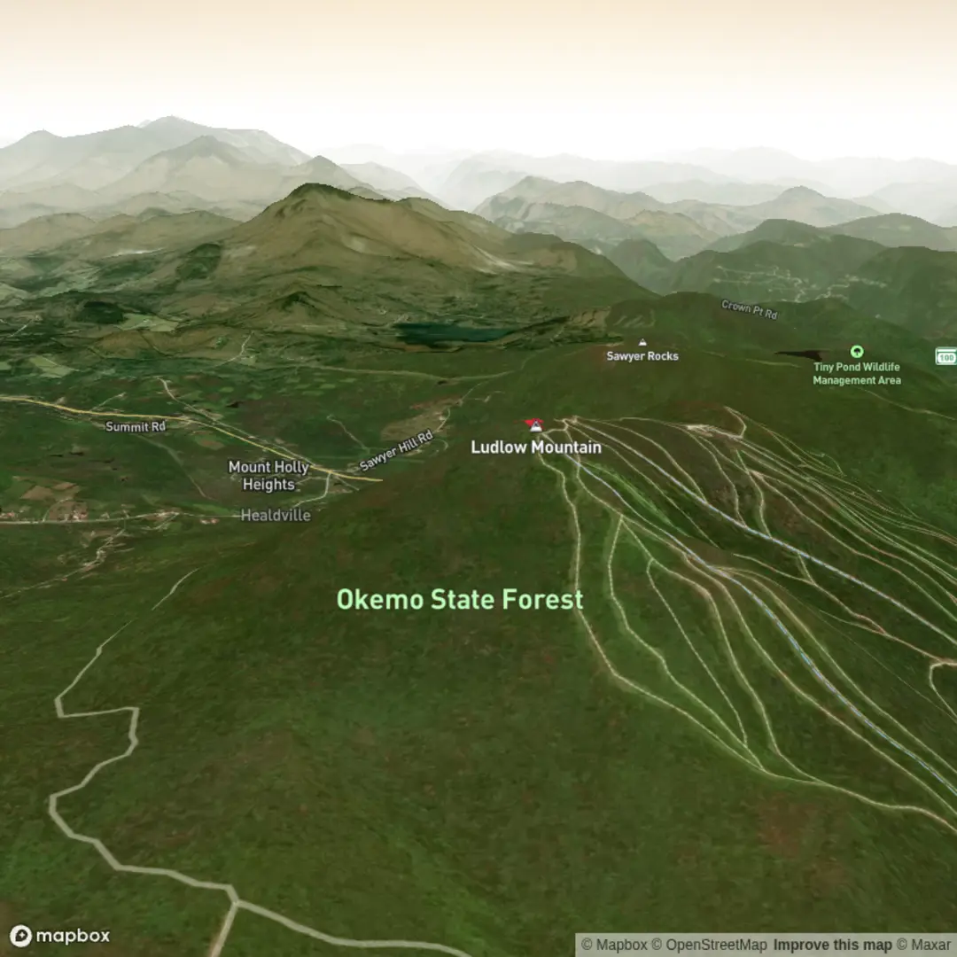 An image depicting the trail Ludlow Mountain via Healdville Trail and its surrounding area.