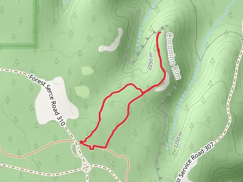 Vishnu Overlook Loop Trail