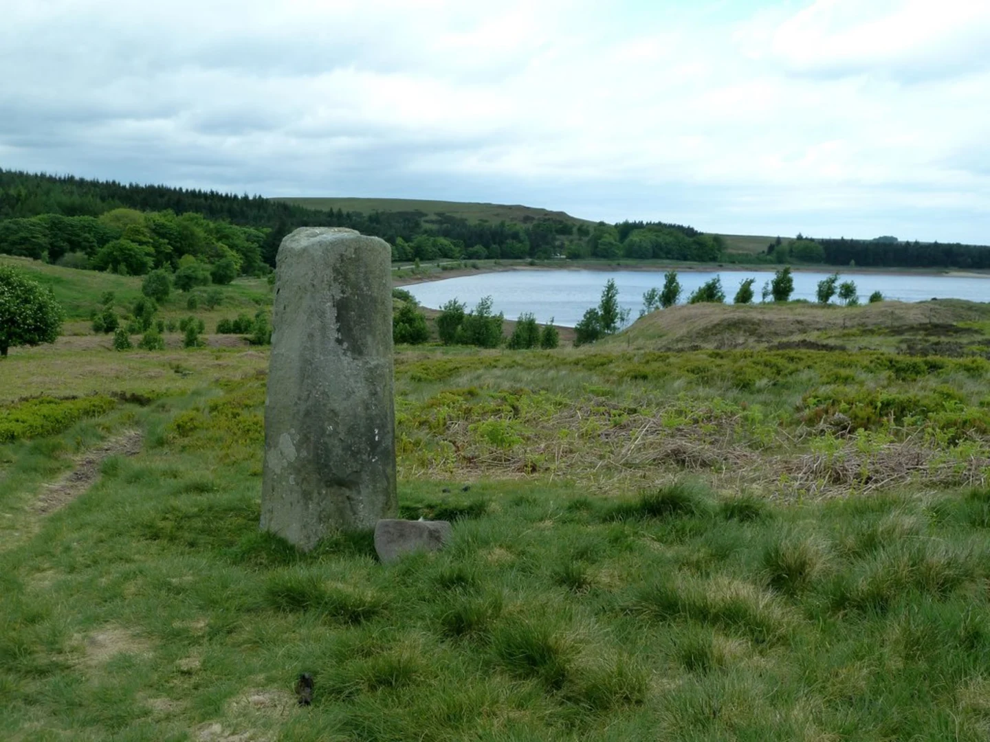 An image depicting the trail Totley Moor, Lady Canning's Plantation and Redmires Reservoir Loop and its surrounding area.