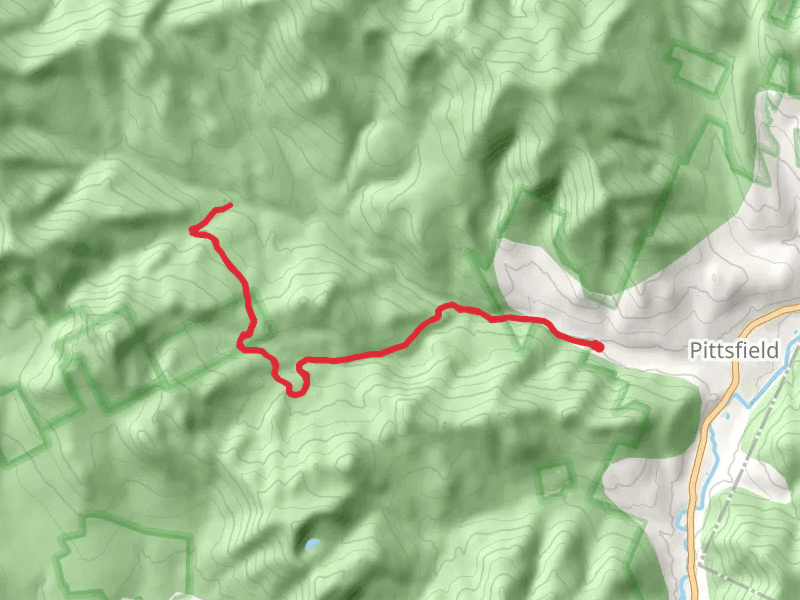 Caryl Brook Trail