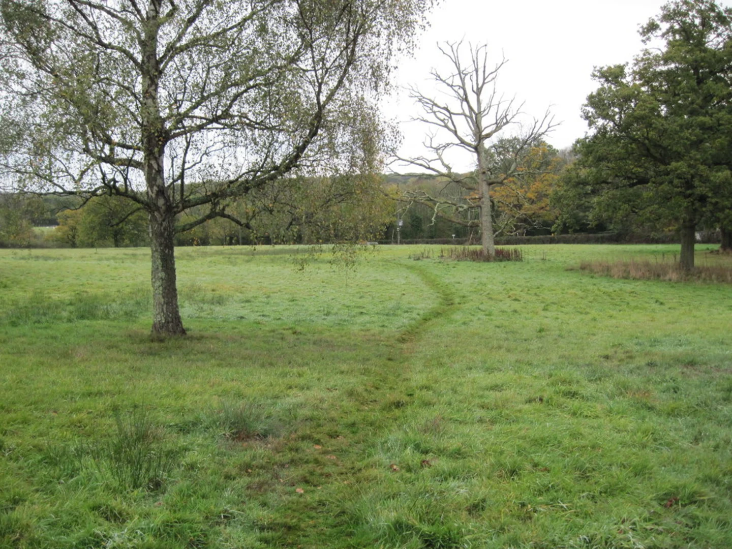An image depicting the trail Lower Upham to Brambridge Loop via Fisher's Pond and its surrounding area.