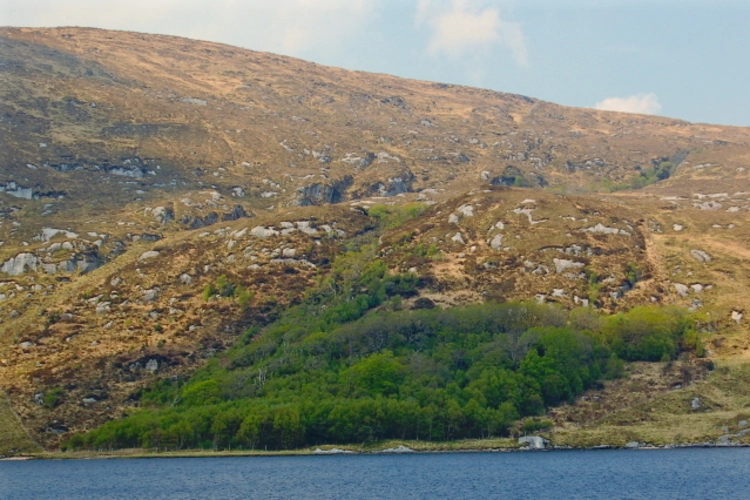 Dooish - Glenveagh Loop