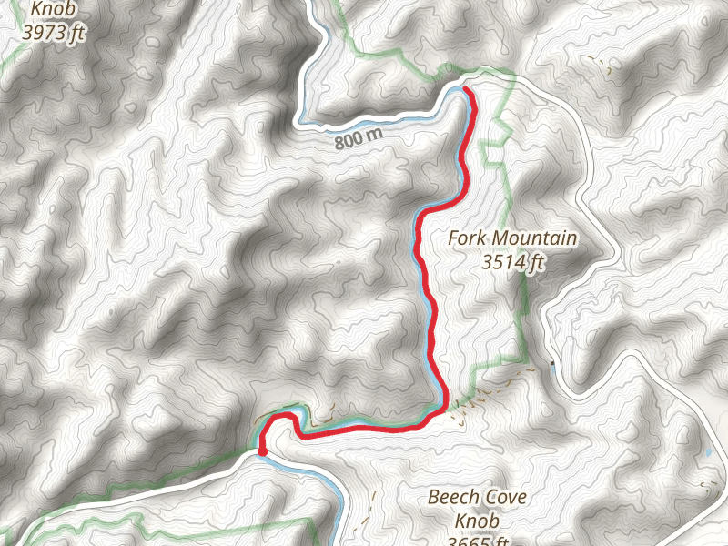 Walk along Nantahala River via Old River Road