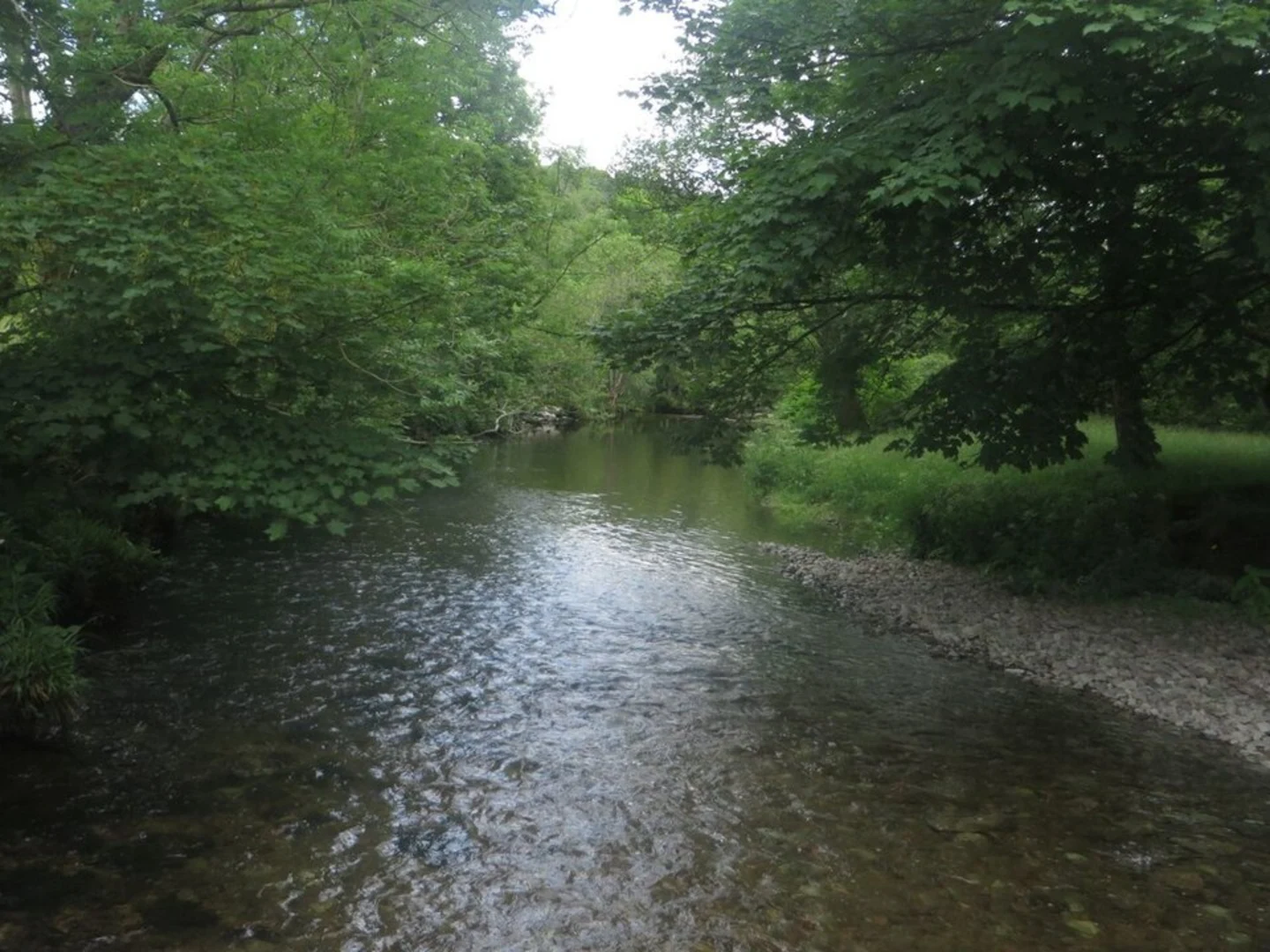 An image depicting the trail New Dungeon Ghyll to Elterwater and its surrounding area.