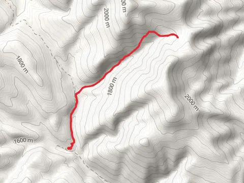 Thoma - Colts Creek Trail