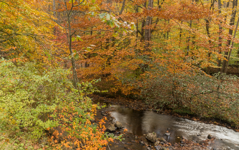 Owens Creek via Deerfield Nature Trail