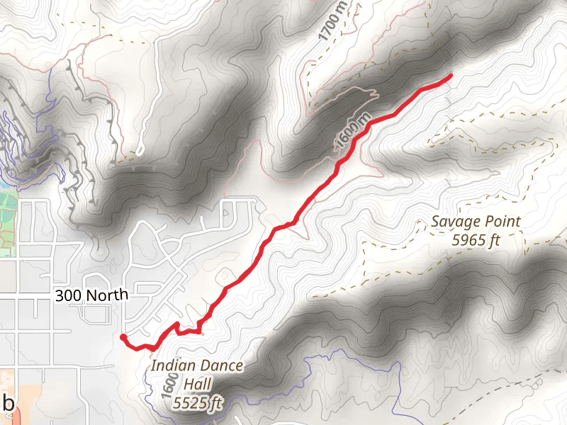 Toms Canyon