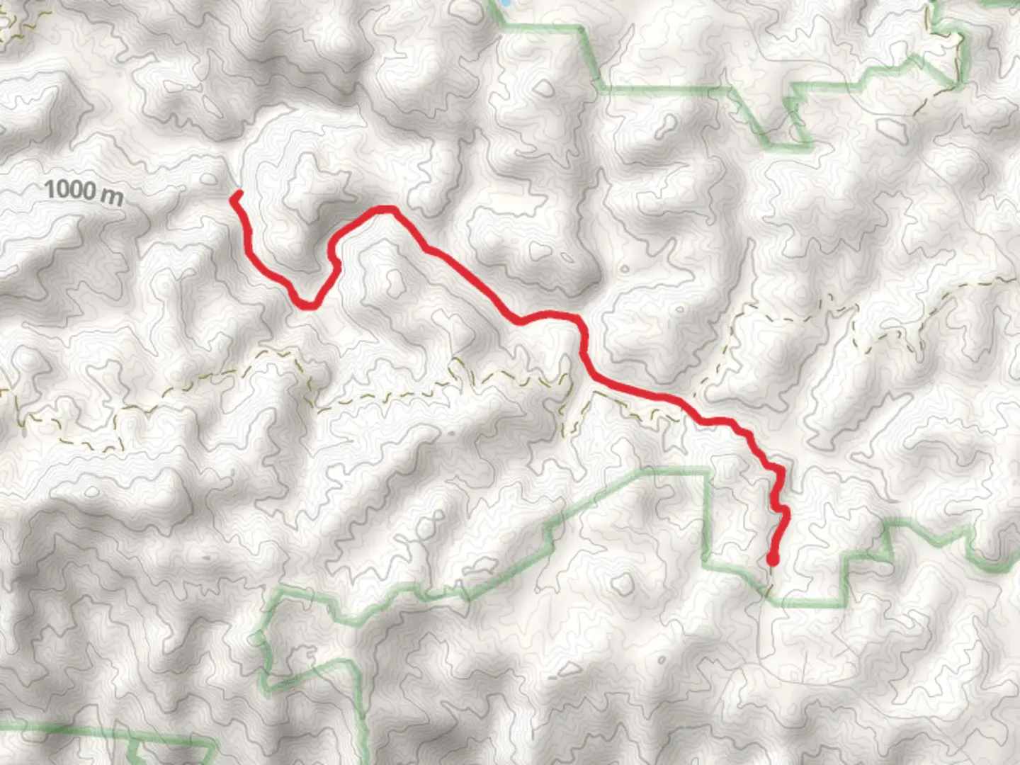 An image depicting the trail Laurel Fork Trail and its surrounding area.