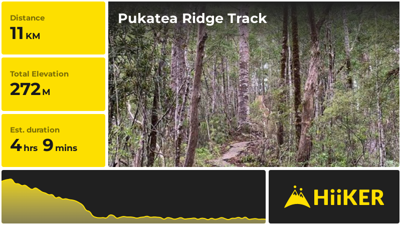 Pukatea Ridge Track | Far North | New Zealand