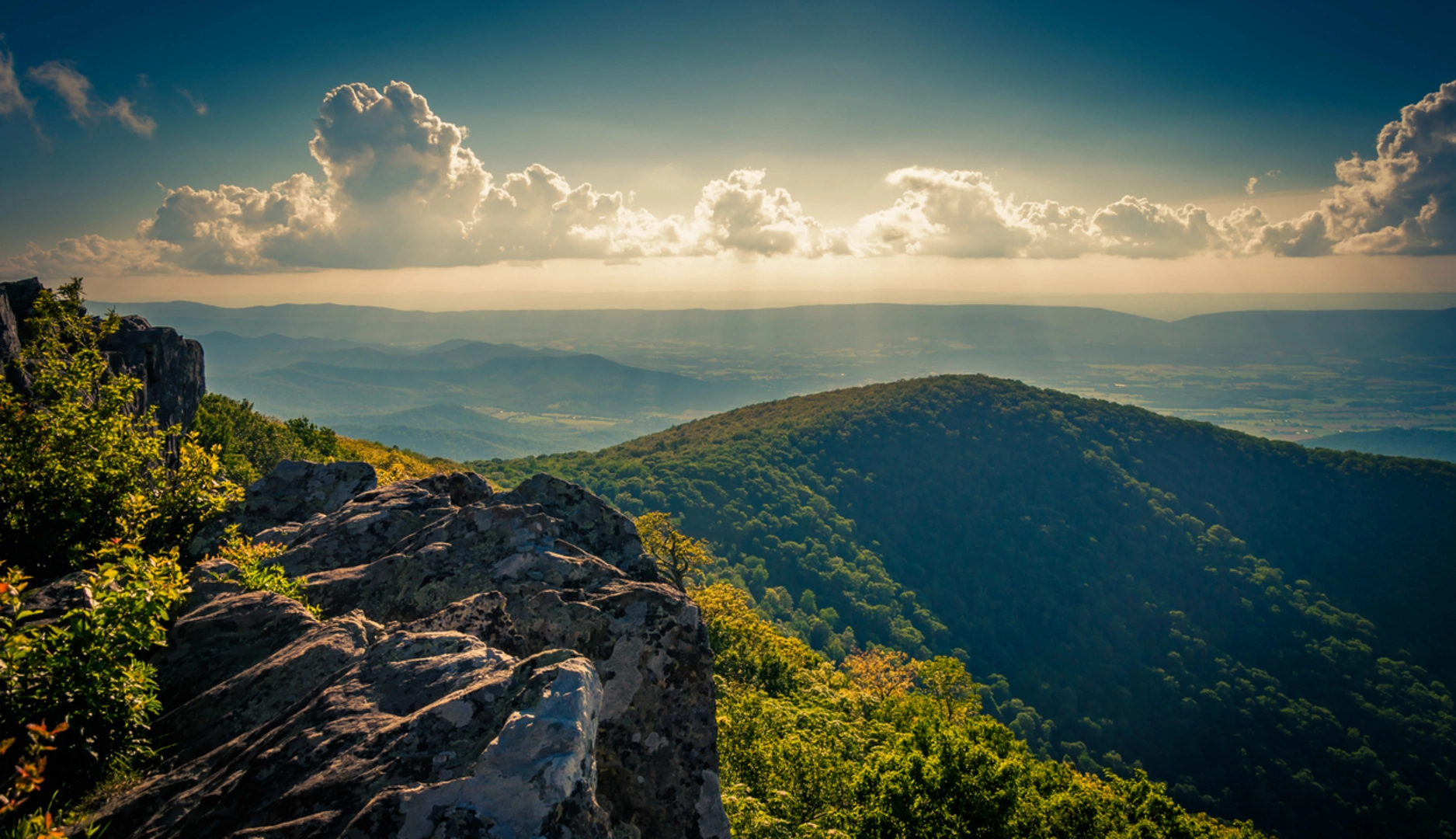 An image depicting the trail Hawksbill Loop Trail and its surrounding area.