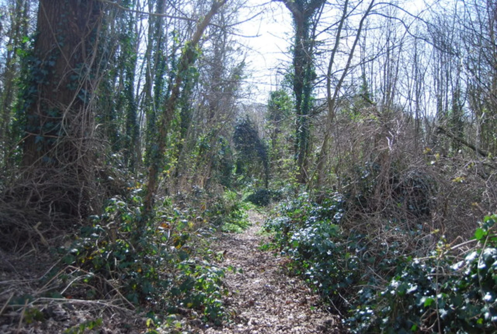 An image depicting the trail Hextable Circular Walk and its surrounding area.