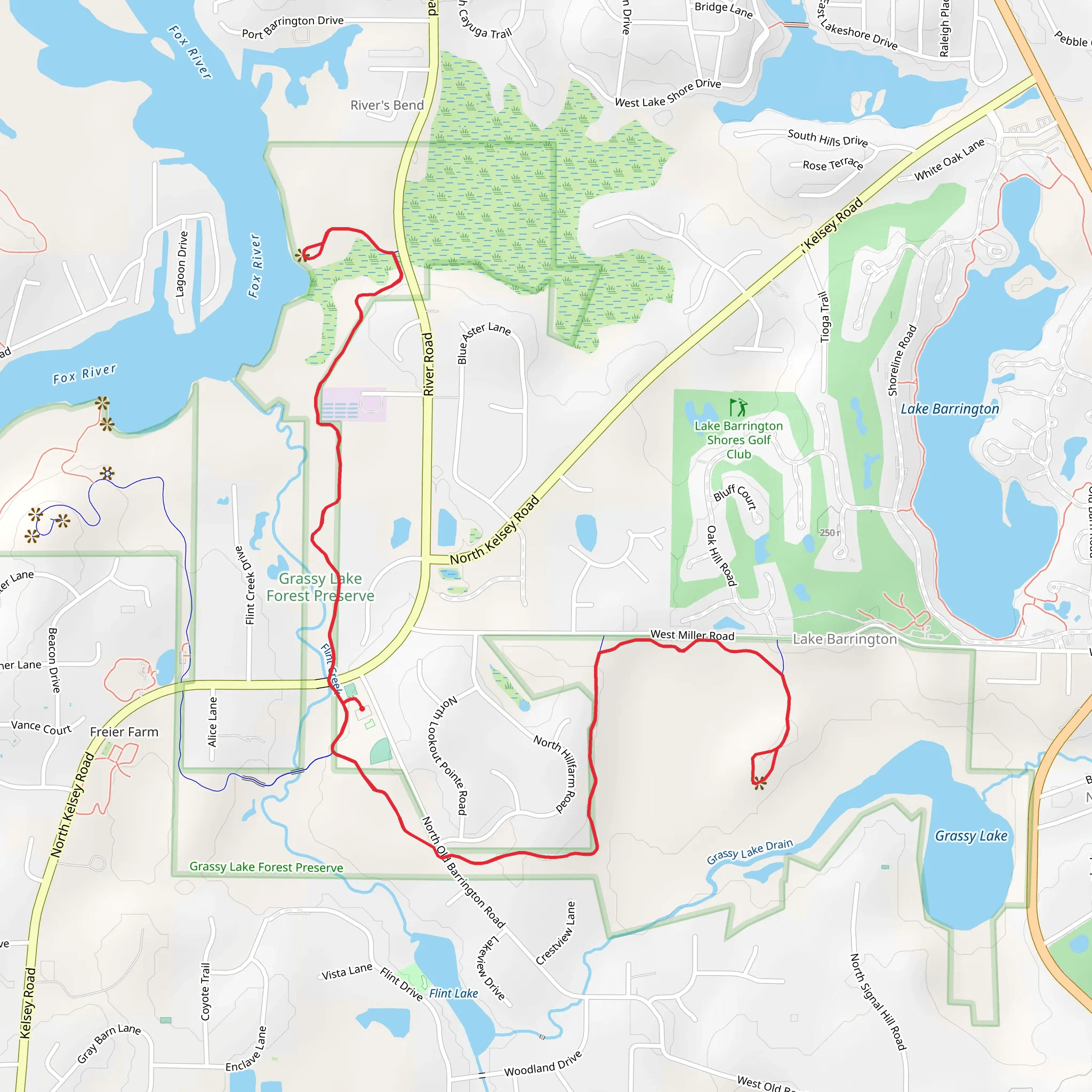 Yellow Trail - Grassy Lake Forest Preserve mobile static map