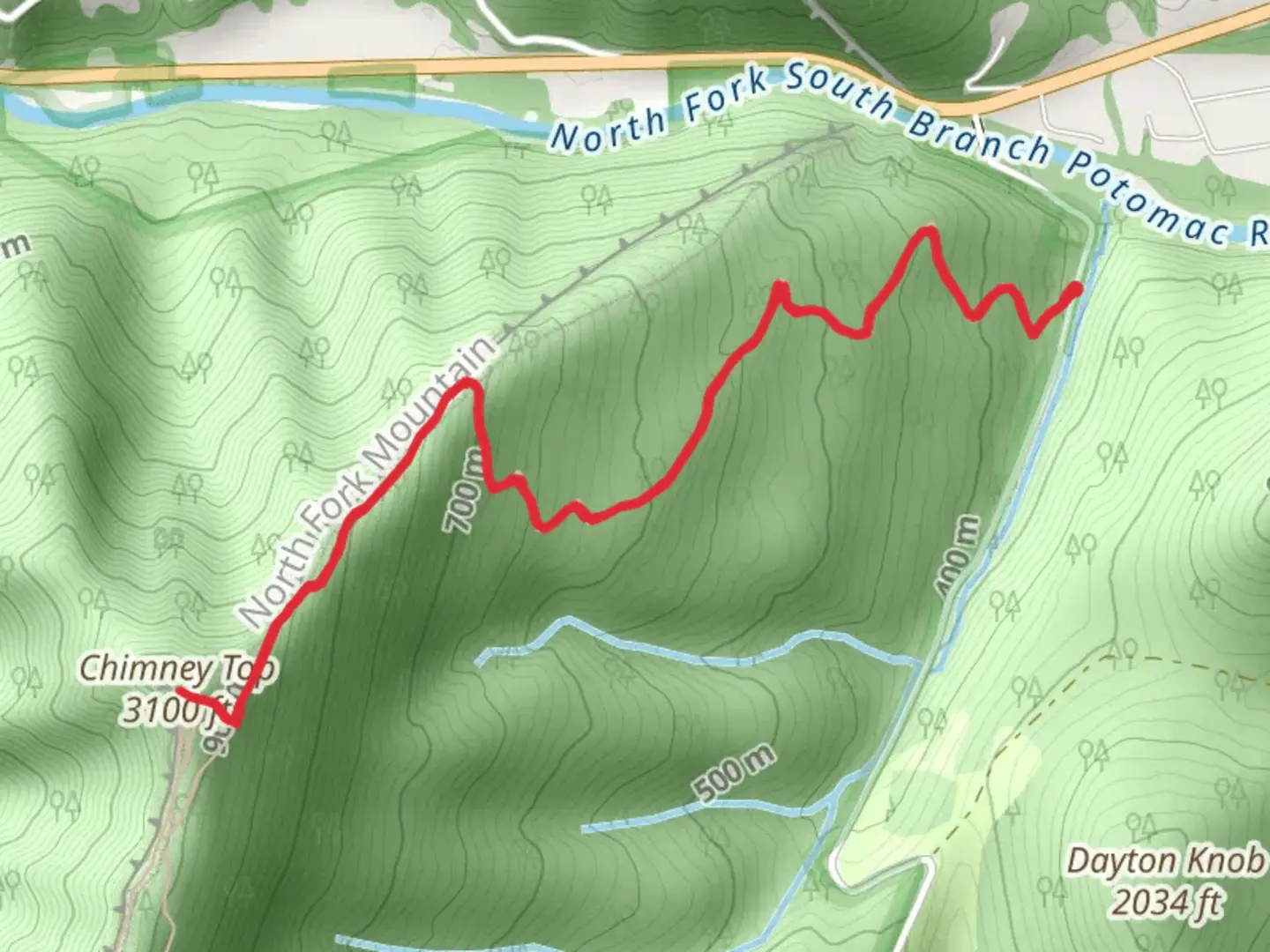 An image depicting the trail Chimney Top via North Fork Mountain Trail and its surrounding area.