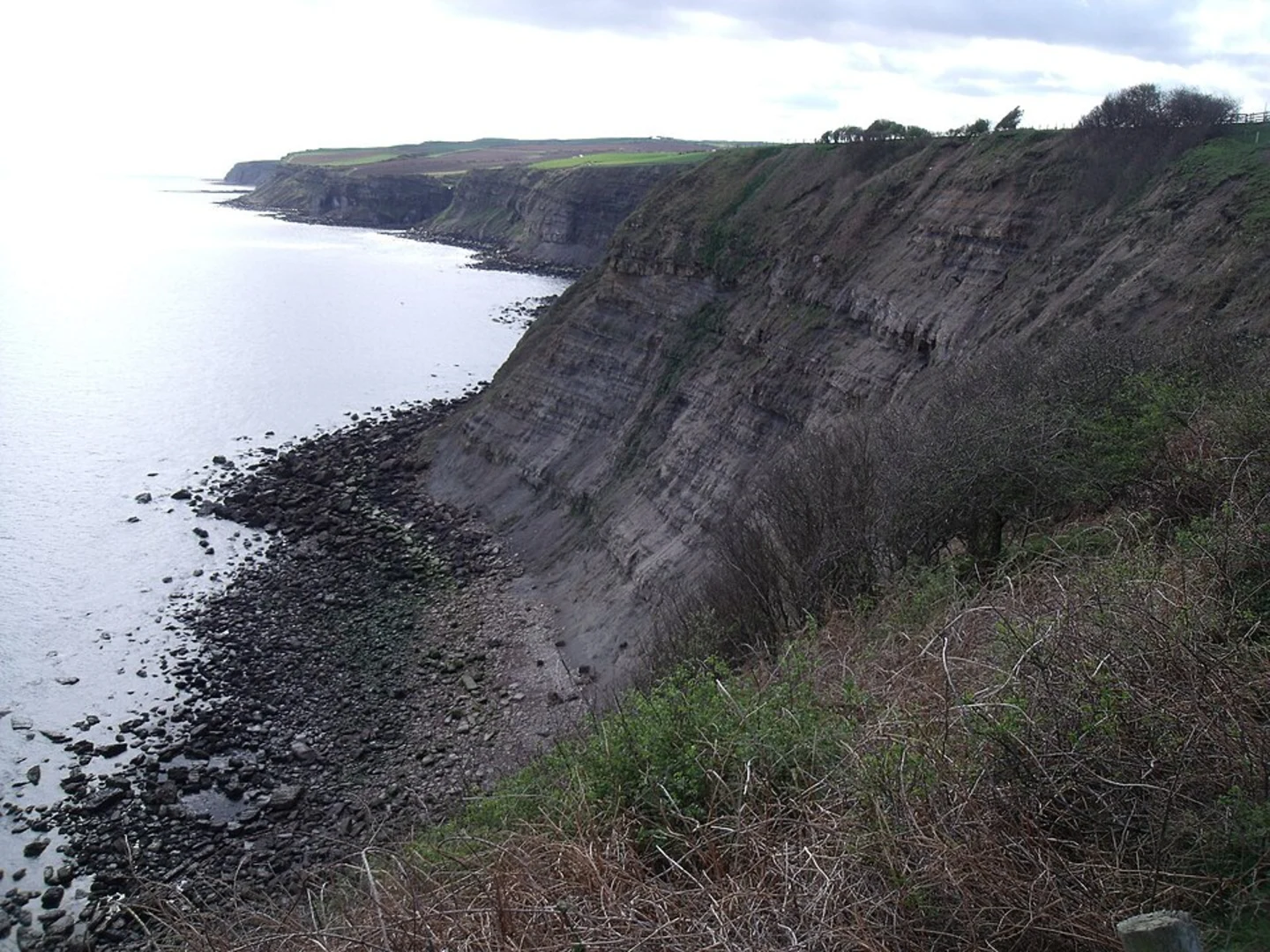 An image depicting the trail Hawsker Cliff Loop and its surrounding area.