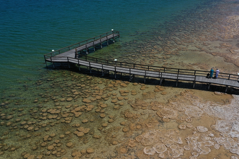 Clifton Thrombolites Lakeside Loop Walk