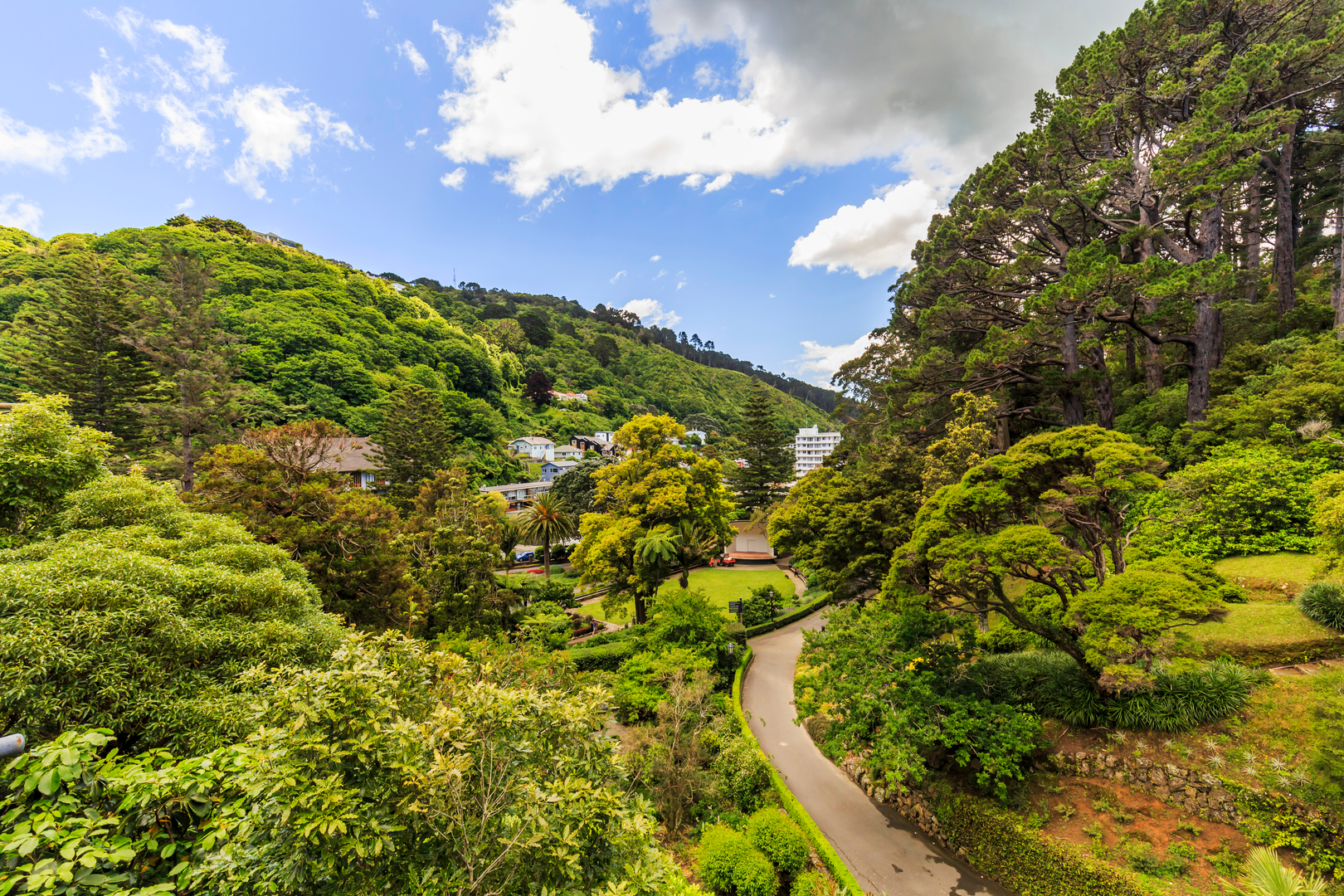 An image depicting the trail City to Sea Walkway and its surrounding area.