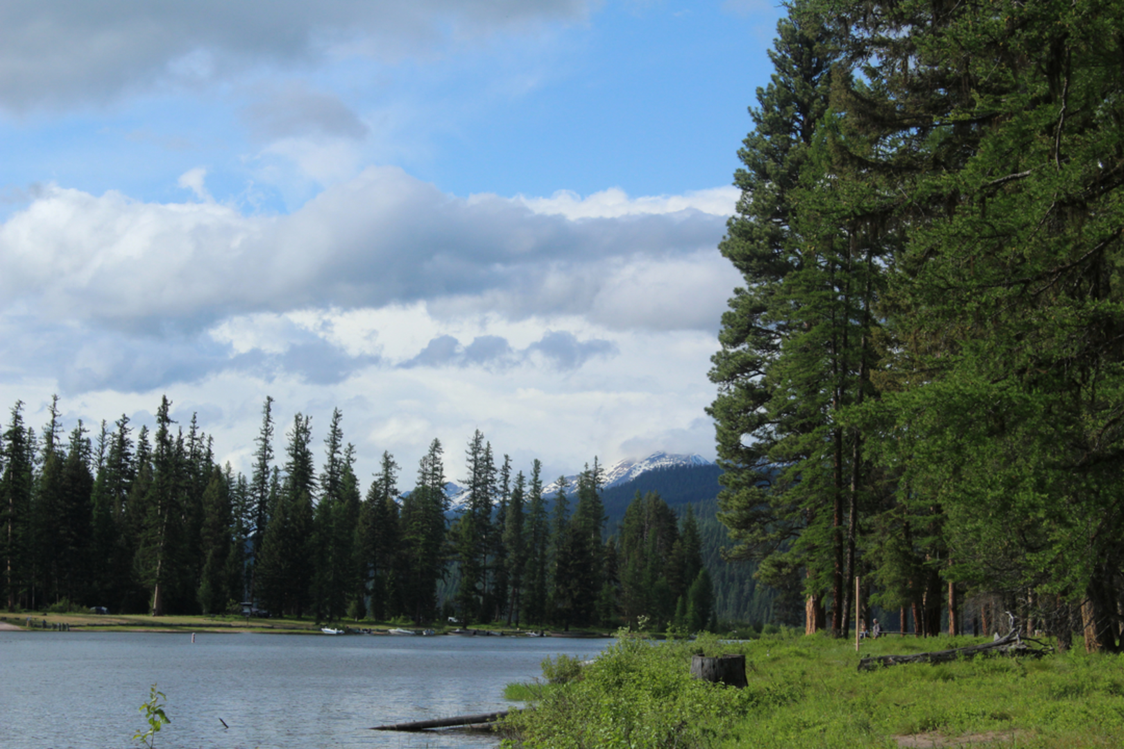 An image depicting the trail Tamaracks Trail B and its surrounding area.