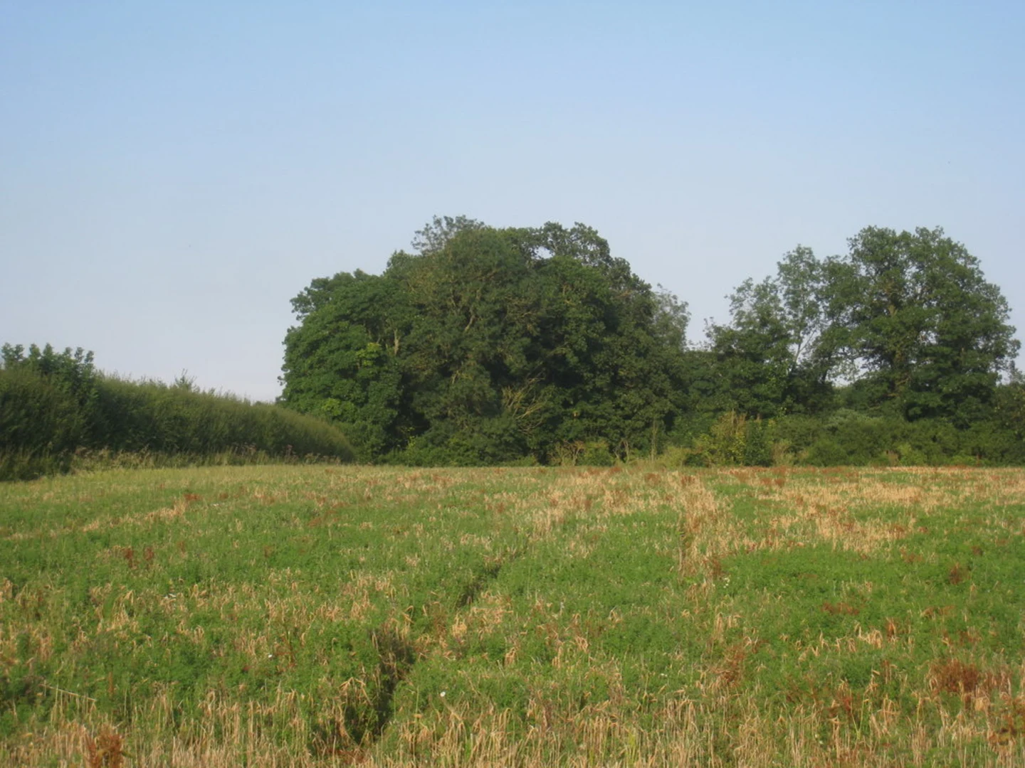An image depicting the trail Binbrook to Stainton Le Vale Loop and its surrounding area.