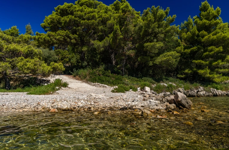 Ćuf Peninsula Trail