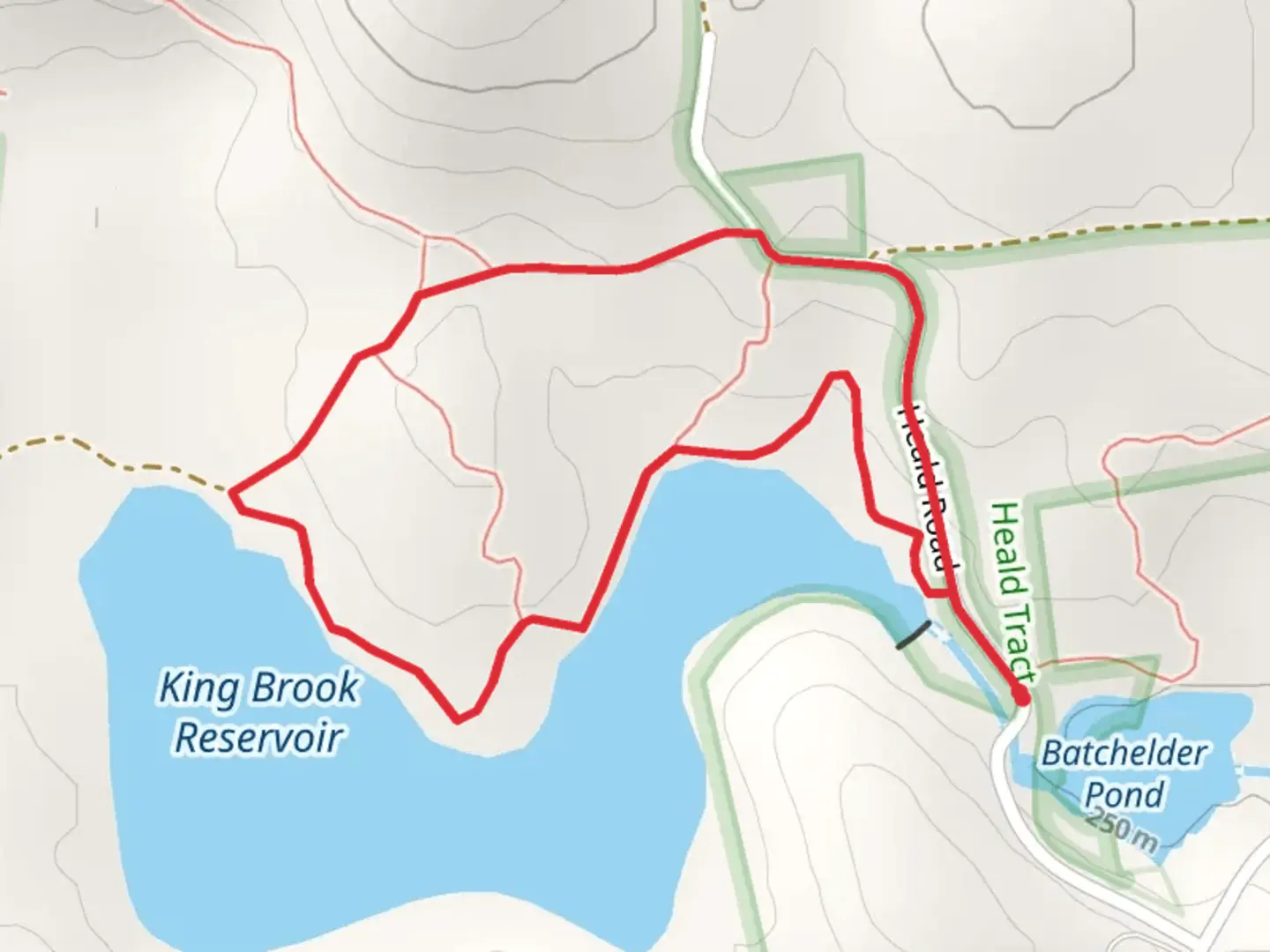 An image depicting the trail Heald Pond Loop Trail and its surrounding area.