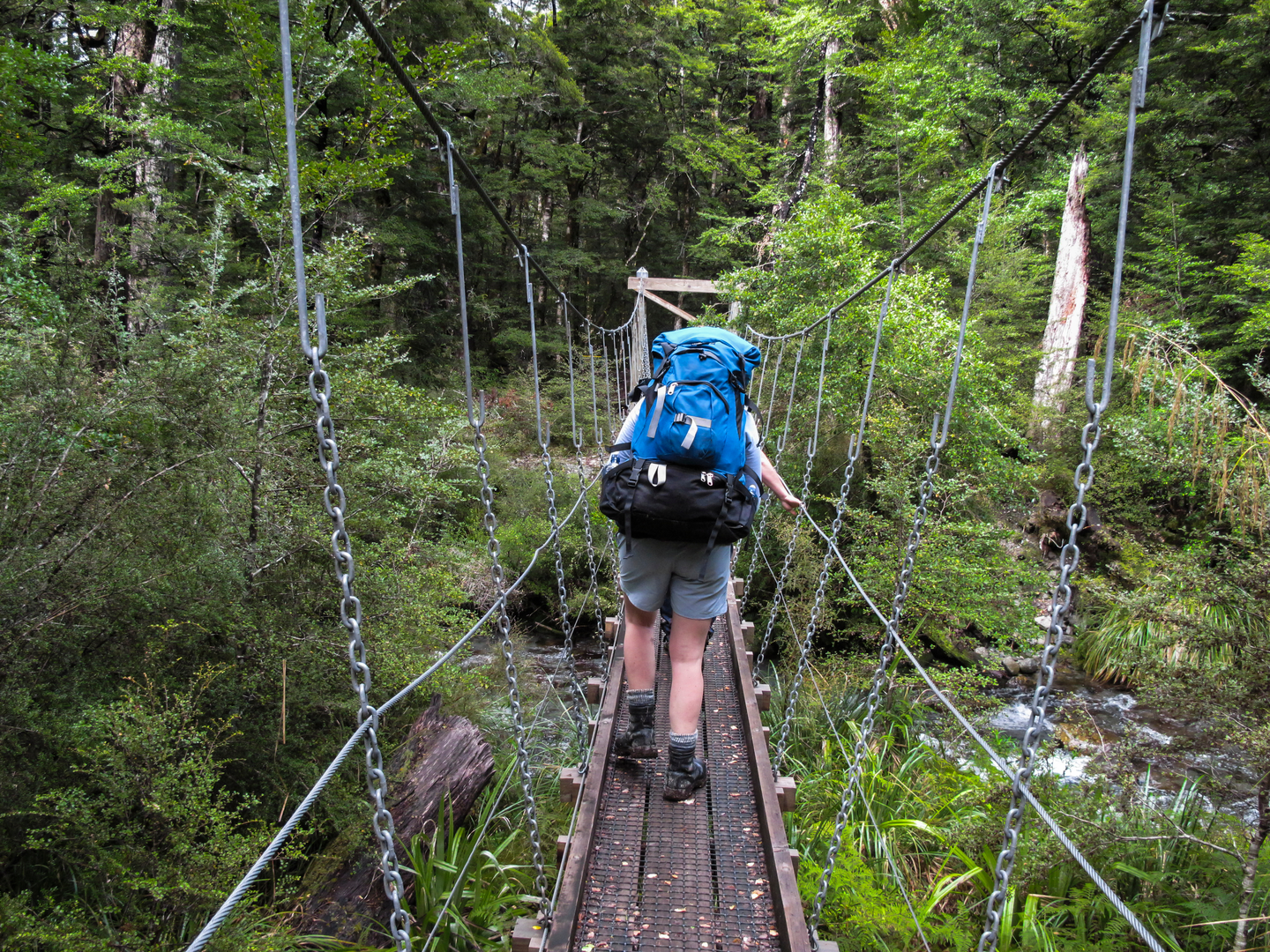 An image depicting the trail Callaghans Track and its surrounding area.
