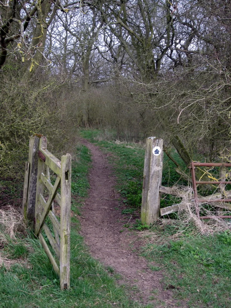 An image depicting the trail Old Brick Pit NR and Nun Wood and its surrounding area.