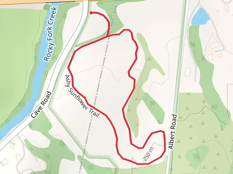 Ashy Sunflower Loop Trail