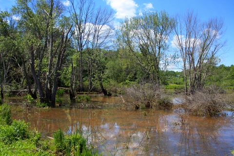 Batona Trail, Mount Misery Trail and Cranberry Trail