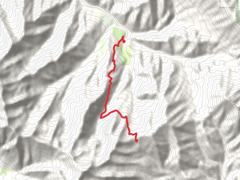 Windy Pass via South Fork to Packard Canyon Trail