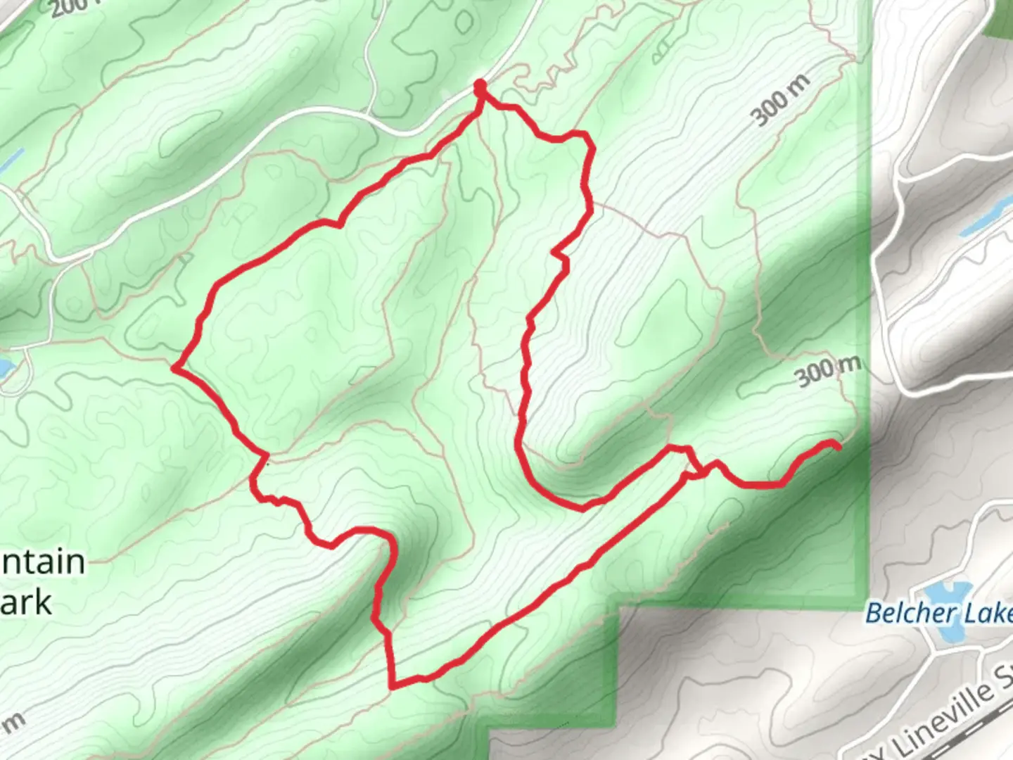 An image depicting the trail White Trail and King's Chair Overlook Loop and its surrounding area.