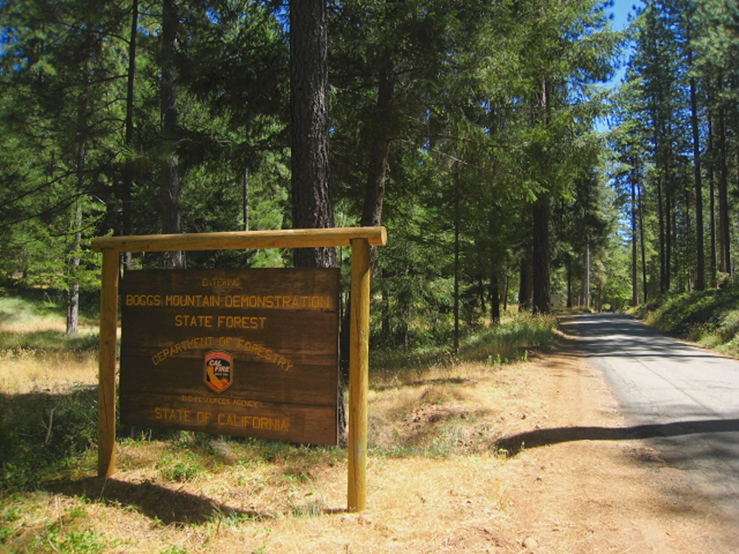 An image depicting the trail North Fork Middle Fork Tule River and Summit Lake Trail and its surrounding area.