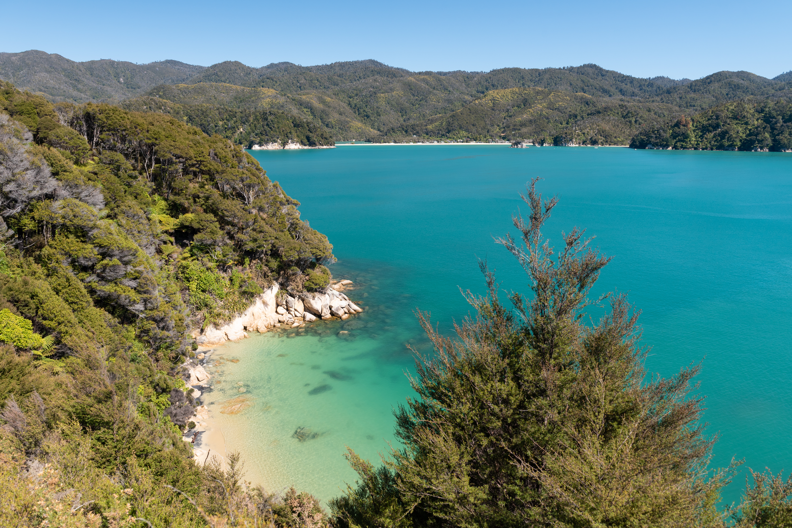 An image depicting the trail Pitt Head Lookout via Te Pukatea Track and its surrounding area.