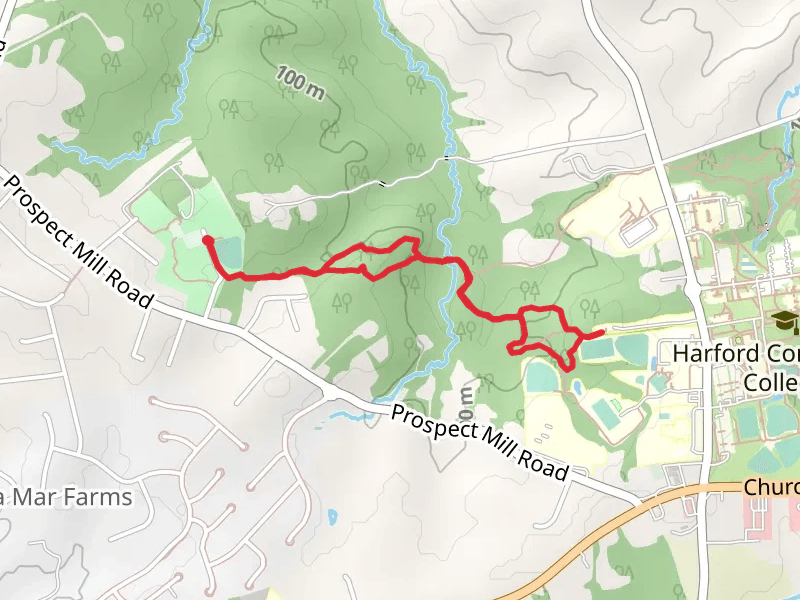 Prospect Mill Park Walk - East