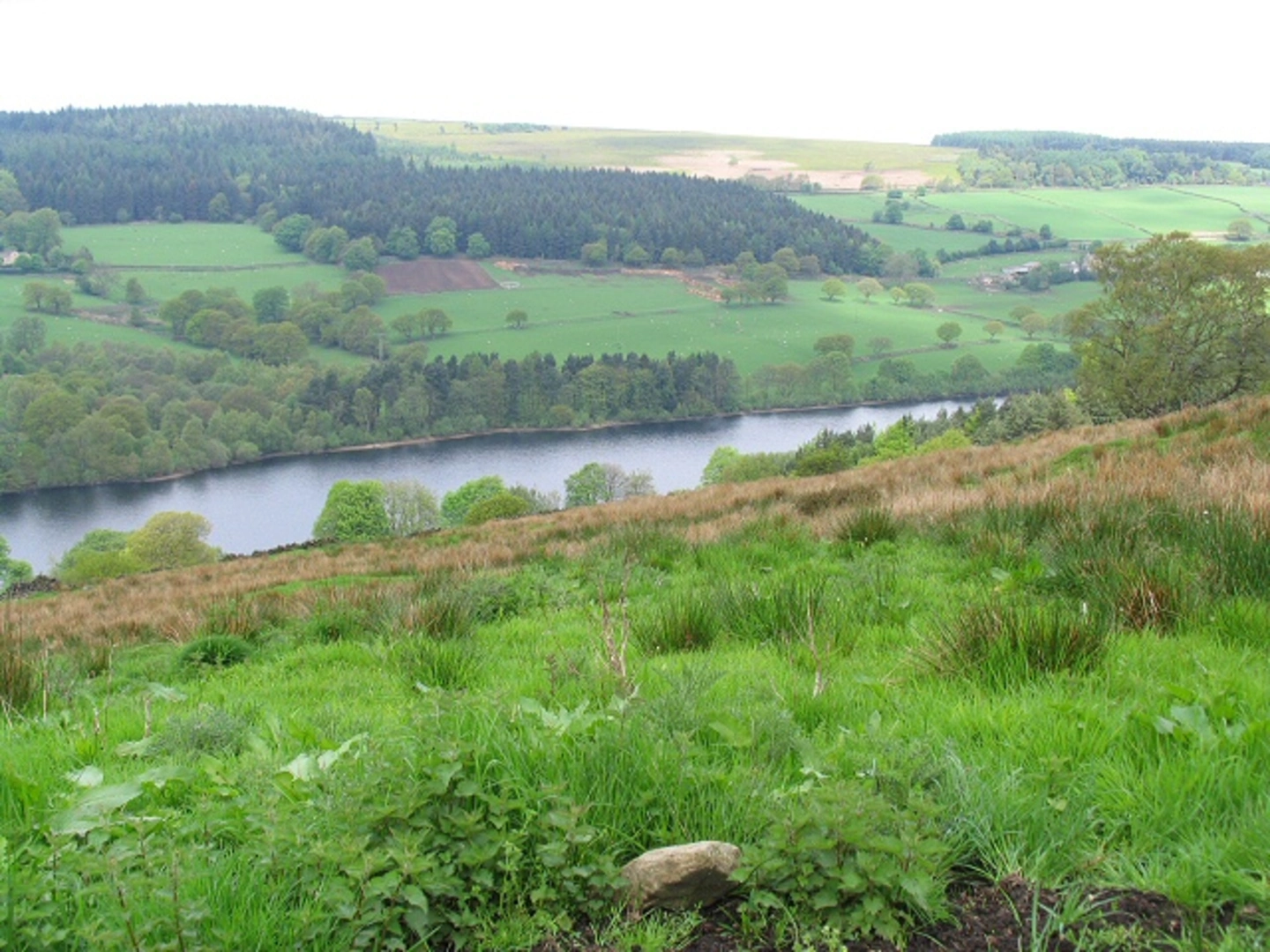 An image depicting the trail Dale Dike Reservoir Loop and its surrounding area.