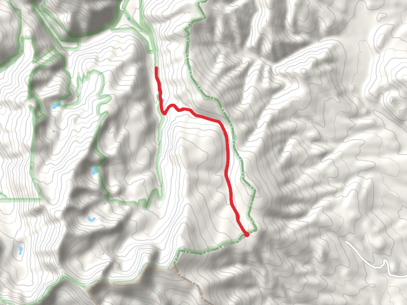 Sawmill Park Trail and East Fork Trail