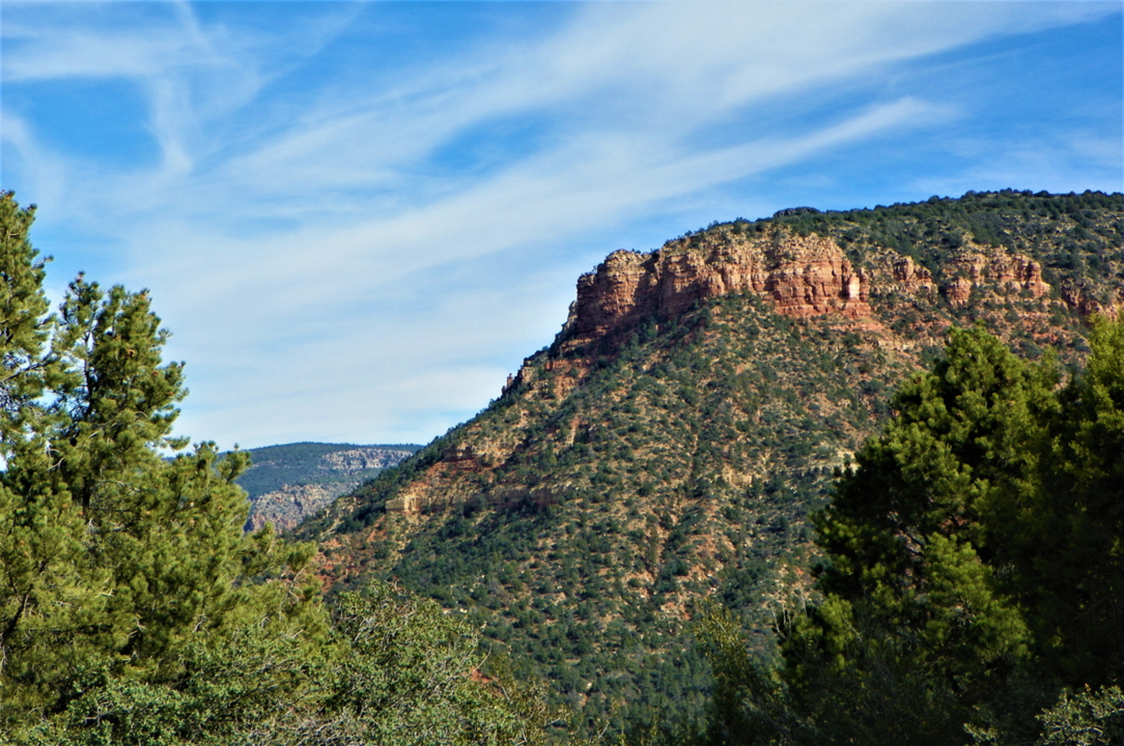 An image depicting the trail Pine Strawberry Trail and its surrounding area.